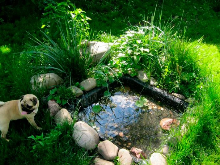 Баня Феринг — сауны и бани Харькова